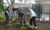 FoSVP members on planting day